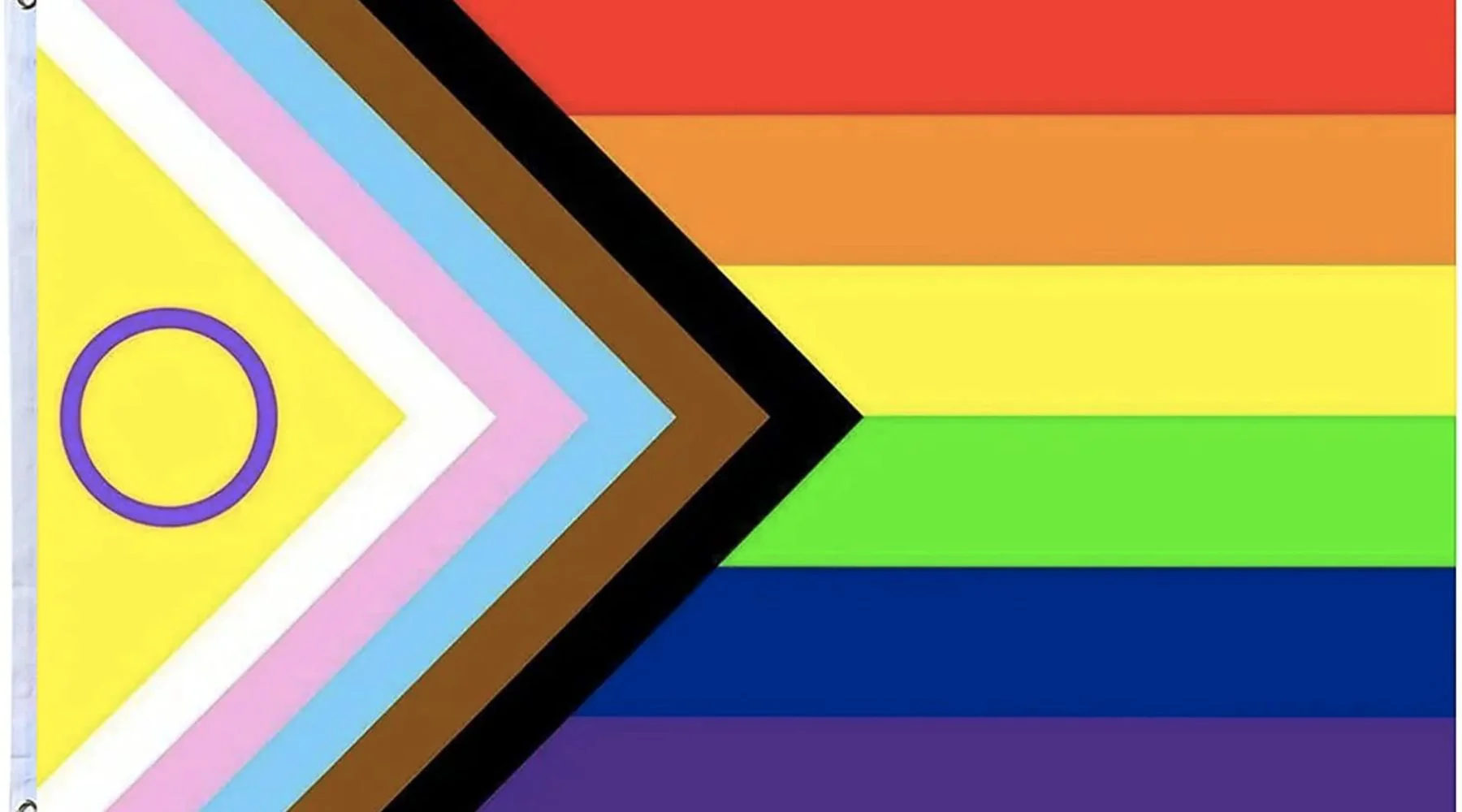 Bandeira LGBTQIAPN